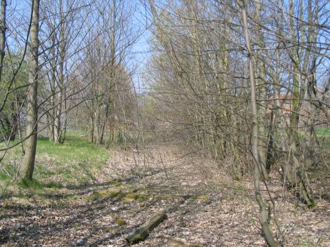 Zufahrt zum Lager Getreidewirtschaft Gotha