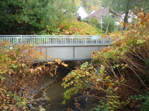 Br�cke �ber den Waldangelbach