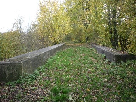 Br�cke �ber den Waldangelbach