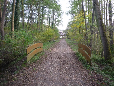 Br�cke �ber den Waldangelbach