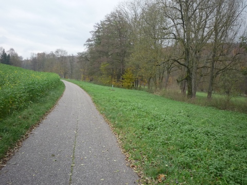 Zwischen Dielheim und Horrenberg