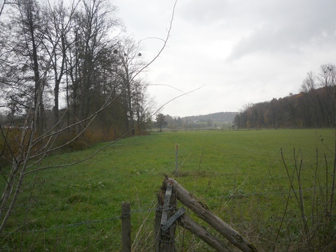 Zwischen Dielheim und Horrenberg
