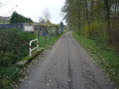 Zwischen Dielheim und Horrenberg