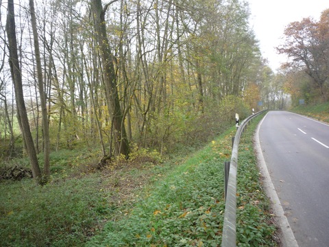 Zwischen Horrenberg und Baiertal