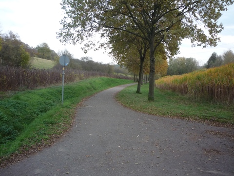 Zwischen Michelfeld und Waldangelloch 