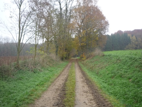 Zwischen Schatthausen und Meckesheim