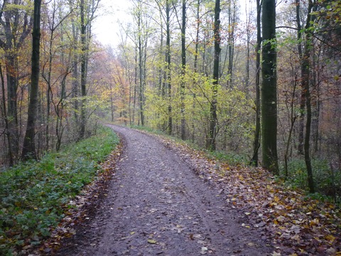 Zwischen Schatthausen und Meckesheim