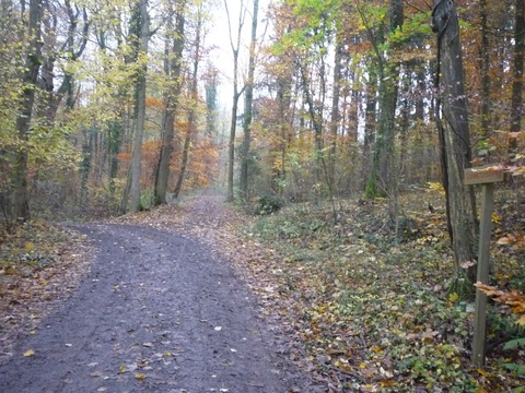 Zwischen Schatthausen und Meckesheim