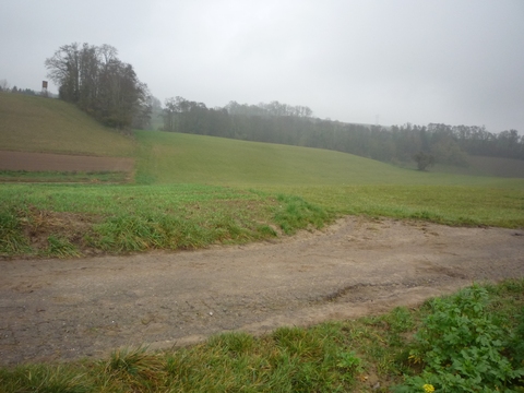 Zwischen Schatthausen und Meckesheim
