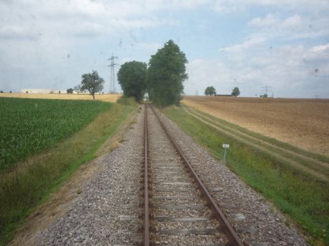 Zwischen Siegelsbach nach H�ffenhardt