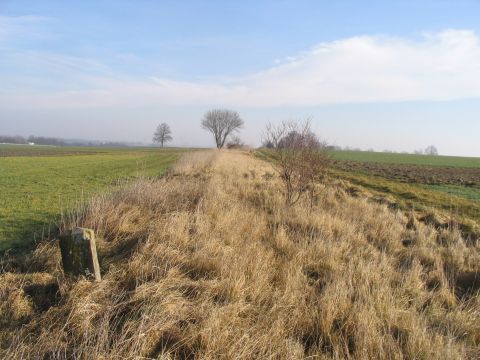 Zwischen Laupheim und Bronnen