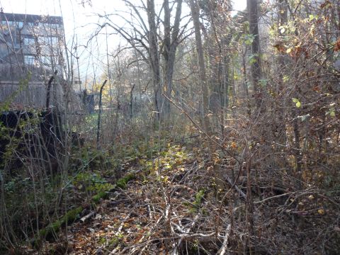 Beginn des Gleises zur K�nkelem�hle