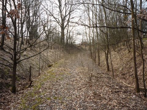 Zwischen Betzingen und Ohmenhausen