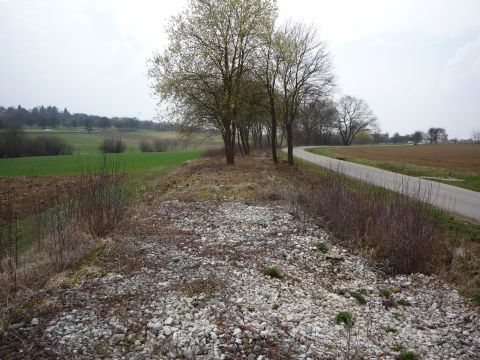 Zwischen M�hringen und Gomaringen