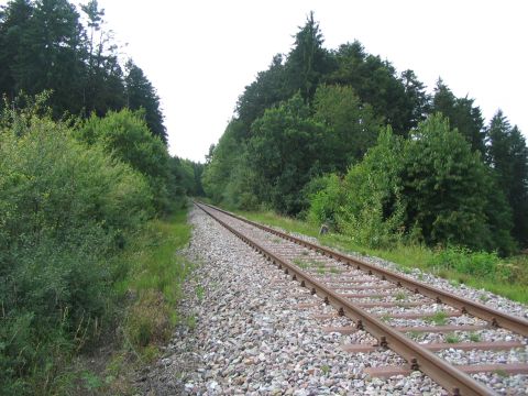 Zwischen Dotternhausen und Stausee Sch�mberg