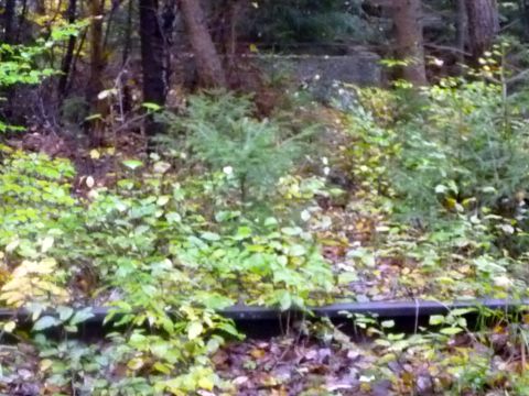 Abzweig zum Steinbruch Welzberg