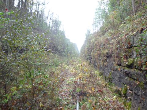 Zwischen Althengstett und Heumaden