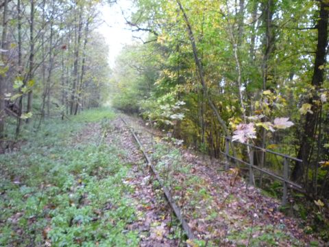 Bachbr�cke am Welzberg