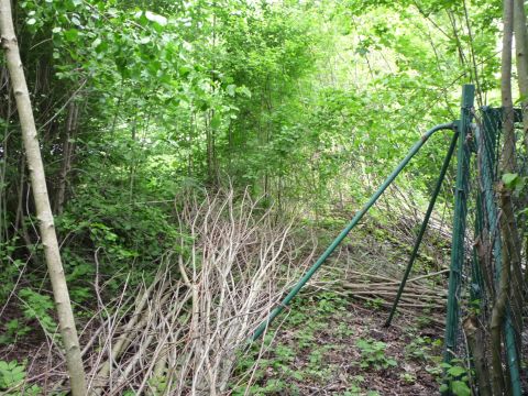 Abzweig Firma W�hrle