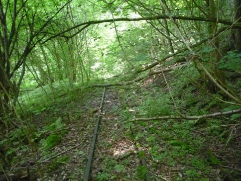 Zwischen Berlichingen und Sch�ntal