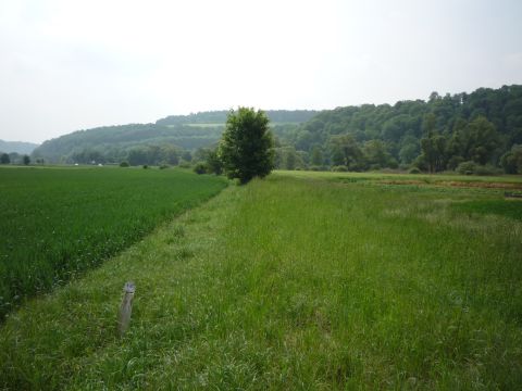 Zwischen Klepsau und D�rzbach