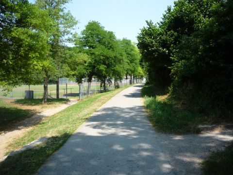 Zwischen M�ckm�hl und Ruchsen