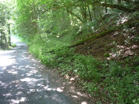 Zwischen Ruchsen und Widdern