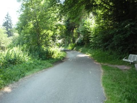 Zwischen Ruchsen und Widdern