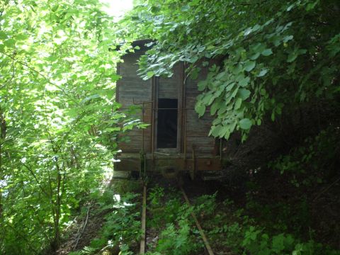 Abgestellte Waggons zwischen Bieringen und Westernhausen