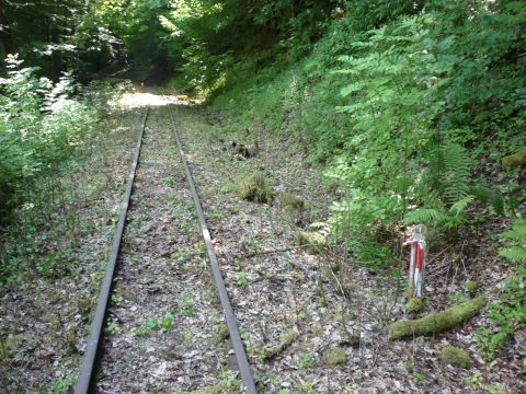 Zwischen Widdern und Olnhausen