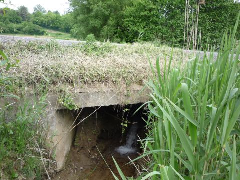 Br�cke �ber den Ro�bach