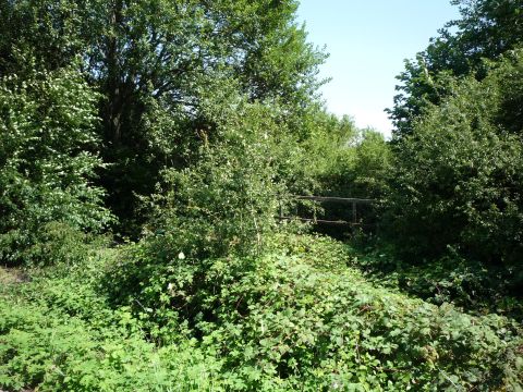 Br�cke �ber den Epbach