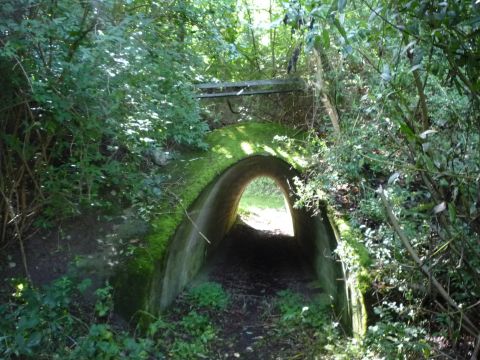 Dammdurchlass am H�rnle