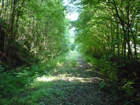 Zwischen Criesbach und Niedernhall