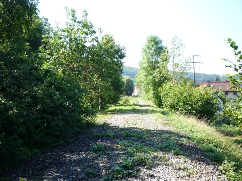 Zwischen Criesbach und Niedernhall