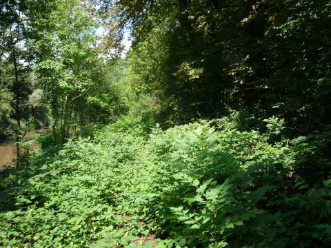 Haltepunkt Nagelsberg