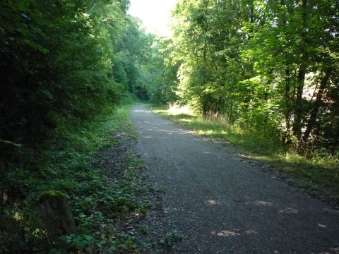 Zwischen Niedernhall und Wei�bach