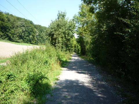 Zwischen Niedernhall und Wei�bach