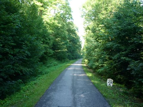 Zwischen Wei�bach und Forchtenberg