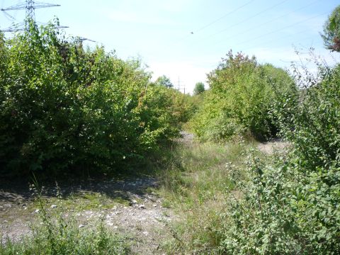 Abzweig Umspannwerk Kupferzell