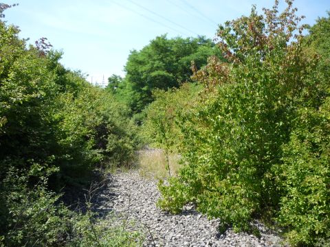 Abzweig Umspannwerk Kupferzell