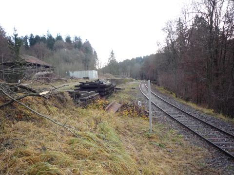 Einfahrt zur Haltestelle Laufenm�hle