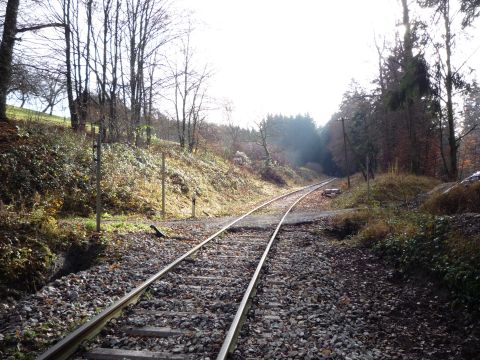 Bahn�bergang zwischen Laufenm�hle-Viadukt und Breitenf�rst