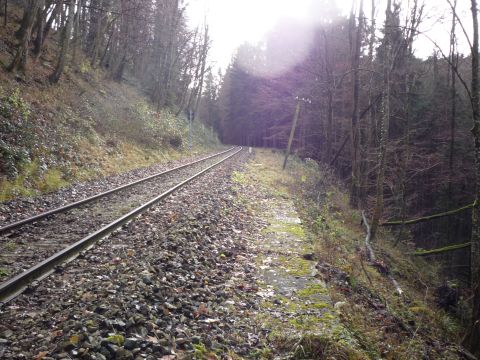 Zwischen Str�mpfelbach-Viadukt und Laufenm�hle