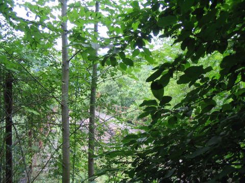 Br�cke �ber die Rems