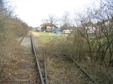 Bachduchl�sse hinter D�rnau