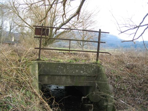 Bachduchl�sse hinter D�rnau