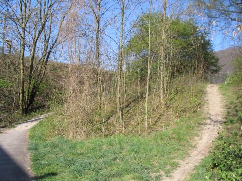 Abzweig zum Bahnhof Geislingen-West