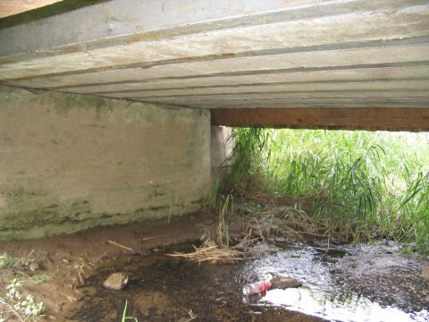 Br�cke �ber die Laugna