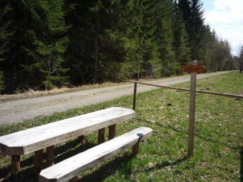 Haltestelle Sachsenrieder Forst